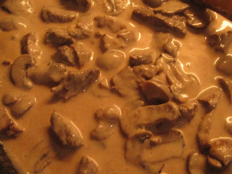 Strogonoff de carne